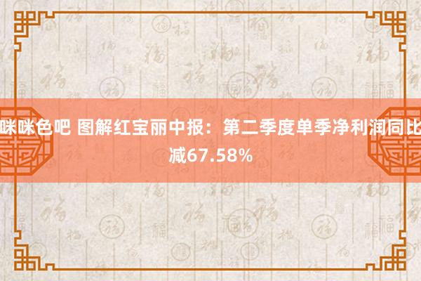 咪咪色吧 图解红宝丽中报：第二季度单季净利润同比减67.58%