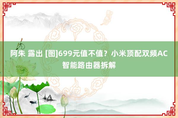 阿朱 露出 [图]699元值不值？小米顶配双频AC智能路由器拆解