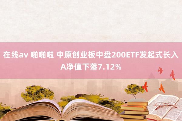 在线av 啪啪啦 中原创业板中盘200ETF发起式长入A净值下落7.12%