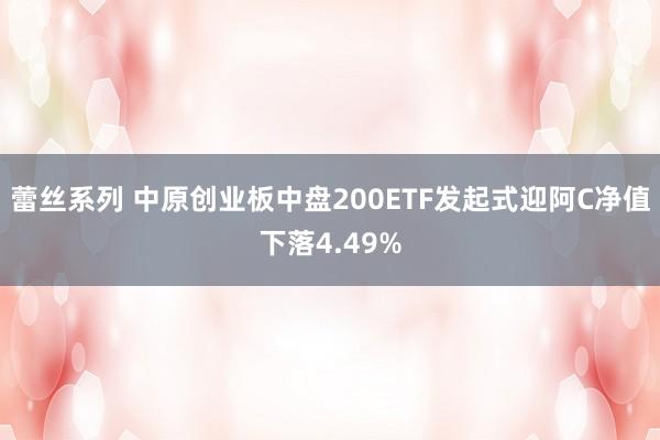 蕾丝系列 中原创业板中盘200ETF发起式迎阿C净值下落4.49%